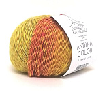 Andina Color 02