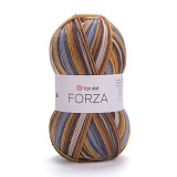 Forza 2504