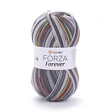 Forza Forever 2701