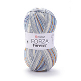 Forza Forever 2713