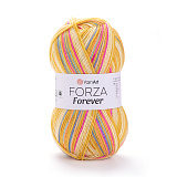 Forza Forever 2704