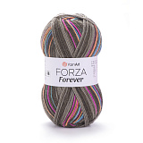 Forza Forever 2702