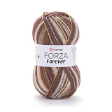 Forza Forever 2703